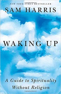 Waking up : a guide to spirituality without religion