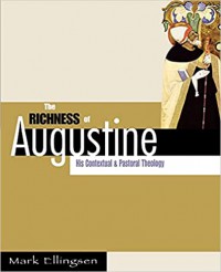 The richness of Augustine : his contextual and pastoral theology