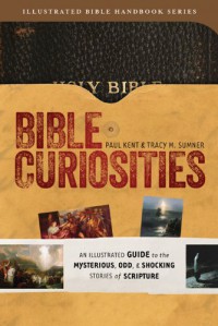 Bible curiosities : an illustrated guide to the mysterious, odd & shoking stories of scripture