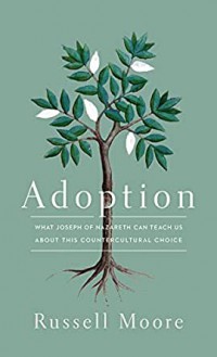 Adoption : what Joseph of Nazareth can teach us about this countercultural choice
