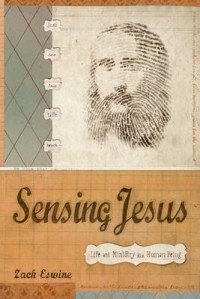 Sensing Jesus : life and ministry as a human being