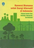 Konversi biomassa untuk energi alternatif di Indonesia : tinjauan sumber daya, teknologi, manajemen, dan kebijakan