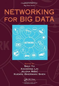 Networking for big data