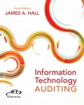 Information technology auditing