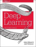 Deep learning : a practitioner's approach