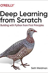 Deep Learning from Scratch: Building with Python from First Principles