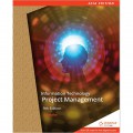 Information technology project management