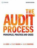 The Audit Process Principles, Practice and Cases