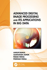 Advanced digital image processing and its applications in big data