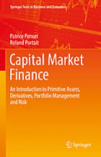 Capital Market Finance : An Introduction to Primitive Assets, Derivatives, Portfolio Management and Risk