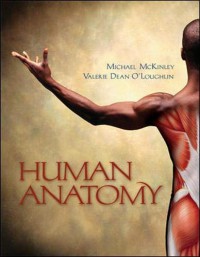 Image of Human anatomy