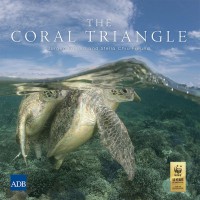 Image of The coral triangle