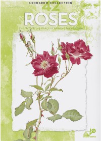 Image of Roses : no. 42