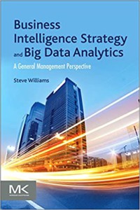 Image of Business intelligence strategy and big data analytics : a general management perpective